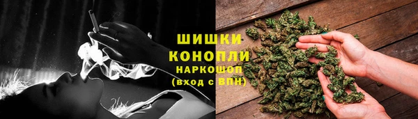 трава Белая Холуница