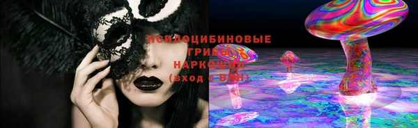 сатива Вязники