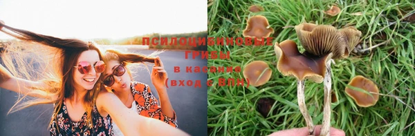 трава Белая Холуница