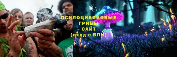 сатива Вязники