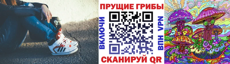 Псилоцибиновые грибы Cubensis  где можно купить   Дальнереченск 