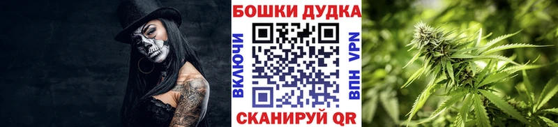 Конопля план  магазин  наркотиков  Дальнереченск 